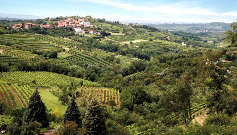 Bsvi-slovenia-biking-13